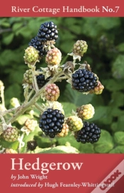 Capa do artigo Hedgerow
