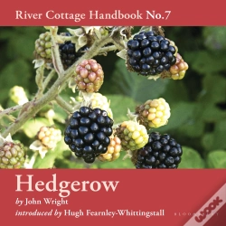 Capa do artigo Hedgerow