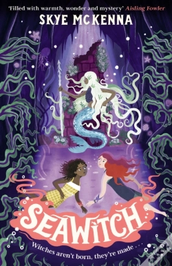 Capa do artigo Hedgewitch: Seawitch