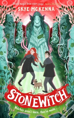 Capa do artigo Hedgewitch: Stonewitch