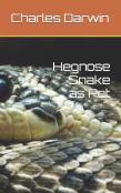 Hegnose Snake As Pet