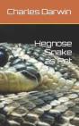 Hegnose Snake As Pet - Preview