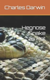 Hegnose Snake As Pet