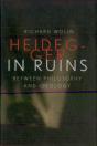Heidegger In Ruins - Preview