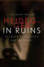 Heidegger In Ruins - Preview