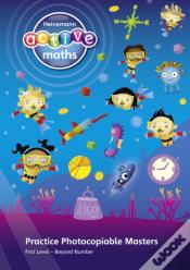 Heinemann Active Maths Â€“ First Level - Beyond Number Â€“ Practice Photocopiable Masters
