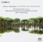 Heitor Villa-Lobos: Floresta Do Amazonas - CD - Preview
