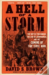 Capa do artigo Hell Of A Storm