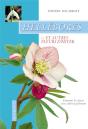 Hellebores Et Autres Fleurs D'Hiver ; Comment Les Choisir Et Les Cultiver Facilement - Preview