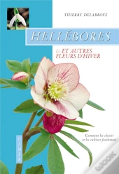 Hellebores Et Autres Fleurs D'Hiver ; Comment Les Choisir Et Les Cultiver Facilement