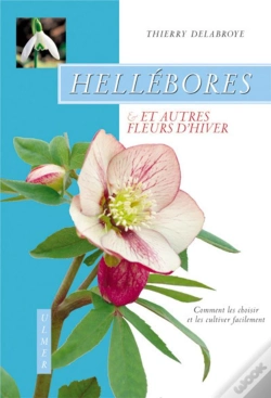 Capa do artigo Hellebores Et Autres Fleurs D'Hiver ; Comment Les Choisir Et Les Cultiver Facilement
