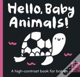 Hello Baby Animals!