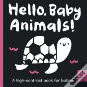 Capa do artigo Hello Baby Animals!
