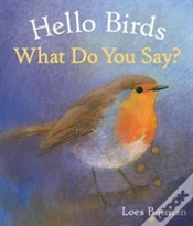 Capa do artigo Hello Birds, What Do You Say?