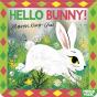 Hello Bunny! - Preview