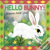 Capa do artigo Hello Bunny!