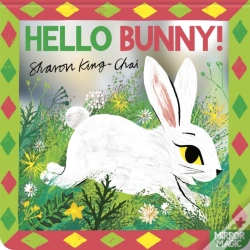 Capa do artigo Hello Bunny!