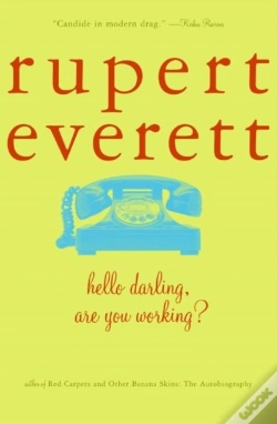 Capa do artigo Hello Darling, Are You Working?