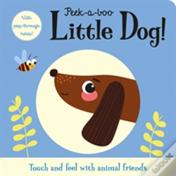 Capa do artigo Hello Dog!