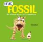 Hello Fossil - Preview