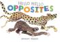 Hello Hello Opposites - Preview