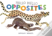 Capa do artigo Hello Hello Opposites