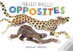 Capa do artigo Hello Hello Opposites