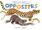 Hello Hello Opposites - Preview