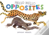 Capa do artigo Hello Hello Opposites
