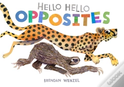 Capa do artigo Hello Hello Opposites