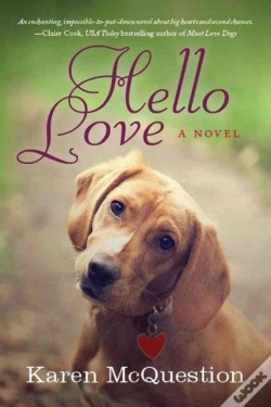 Capa do artigo Hello Love