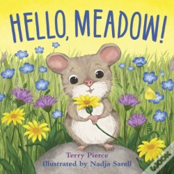 Capa do artigo Hello, Meadow!