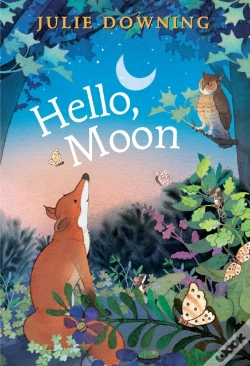 Capa do artigo Hello Moon