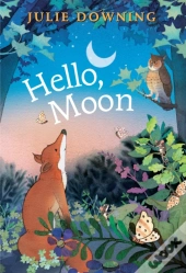 Hello Moon
