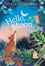 Capa do artigo Hello Moon