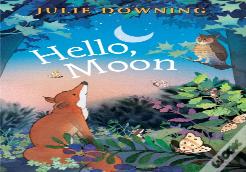 Hello Moon