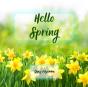 Hello Spring - Preview