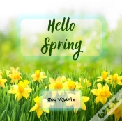 Capa do artigo Hello Spring