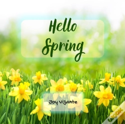 Capa do artigo Hello Spring