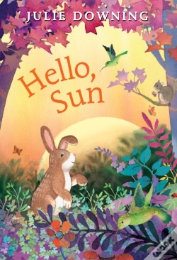 Capa do artigo Hello, Sun