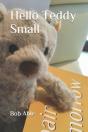 Hello Teddy Small - Preview