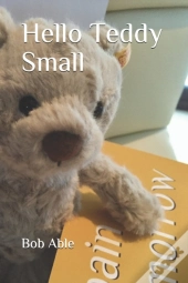 Hello Teddy Small