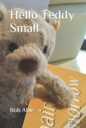 Capa do artigo Hello Teddy Small