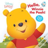 Hello, Winnie The Pooh!