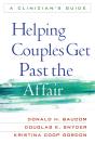 Helping Couples Get Past The Affair - Preview