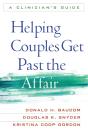Helping Couples Get Past The Affair - Preview