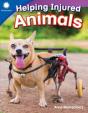 Helping Injured Animals - Preview