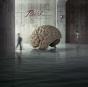 Hemispheres - CD - Preview