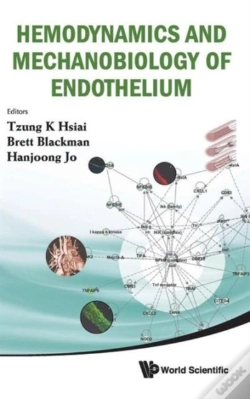 Capa do artigo Hemodynamics And Mechanobiology Of Endothelium