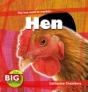 Hen - Preview